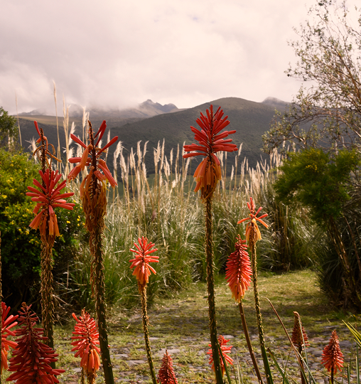 Fiorosso, Prendas creadas por mujeres que aman el medio ambiente